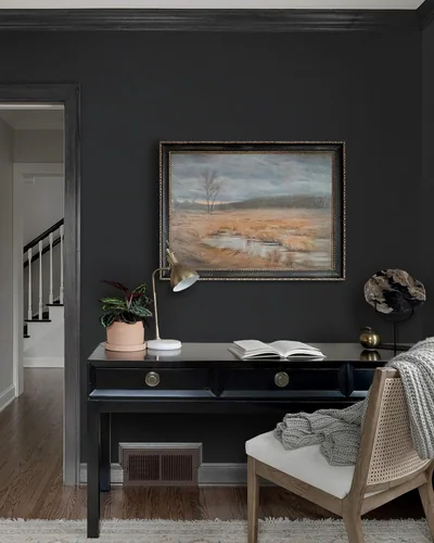 Dark Grey Matte, picture 5