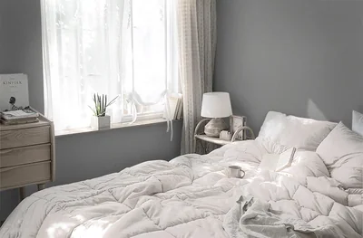 Light Grey Matte, picture 3
