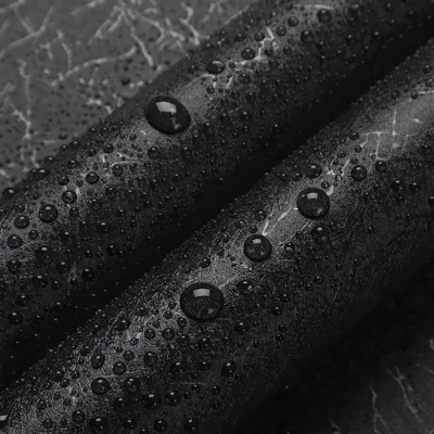 Black Silk, picture 2
